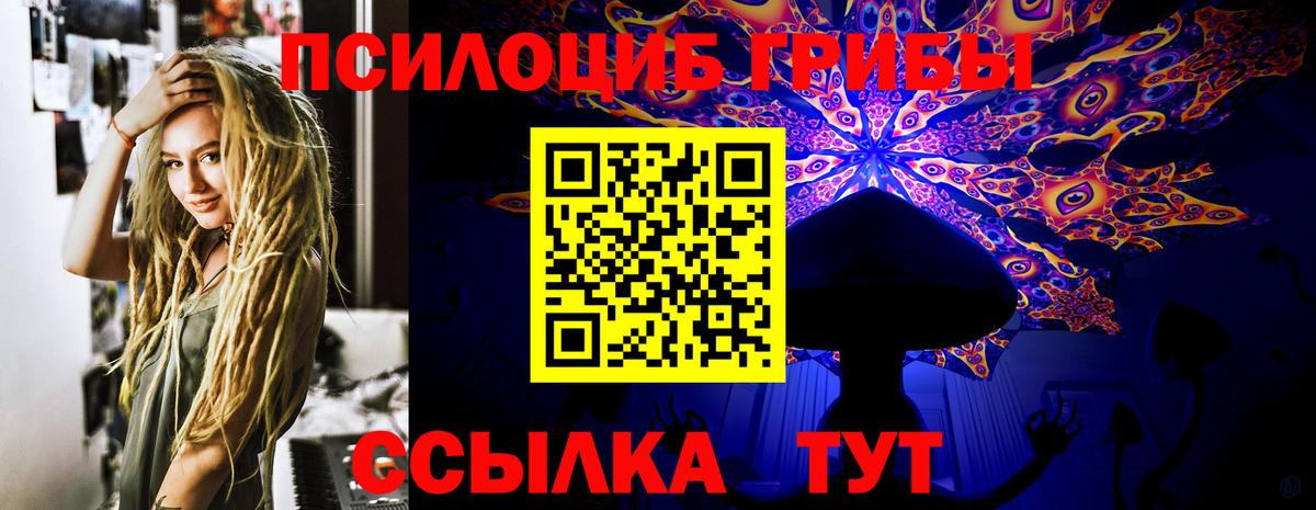 Псилоцибиновые грибы прущие грибы Будённовск