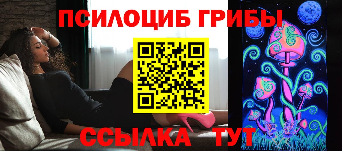 Будённовск  Псилоцибиновые грибы мухоморы  Вход с VPN 